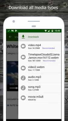 Video Downloader Delux android App screenshot 3