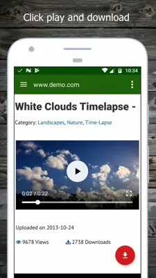 Video Downloader Delux android App screenshot 4